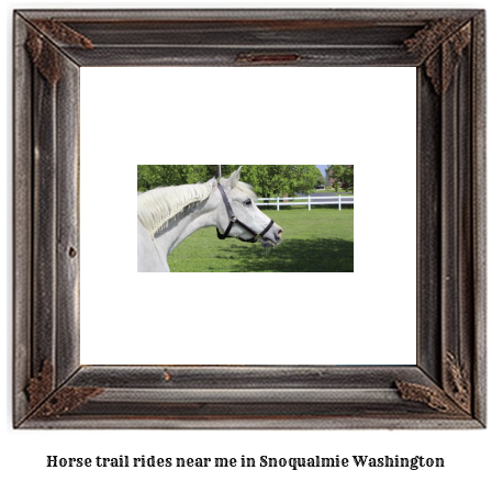 horse trail rides near me in Snoqualmie, Washington